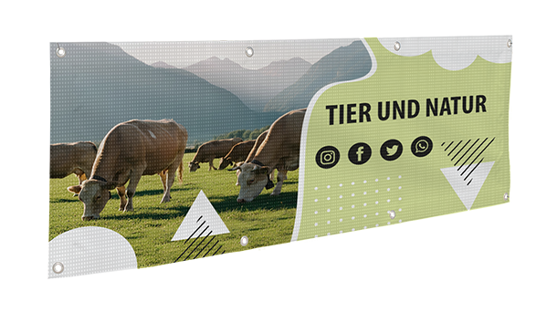 Ein Banner aus Maschendrahtzaun mit Kühen, die auf einer grünen Wiese grasen, im Hintergrund Berge, daneben der Text „Tier und Natur“ und Social-Media-Symbole auf einem stilisierten Grafikdesign.
